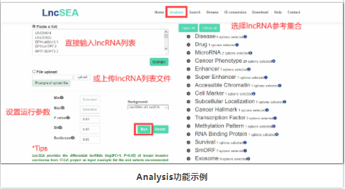 lncRNA注释和富集分析-3.png