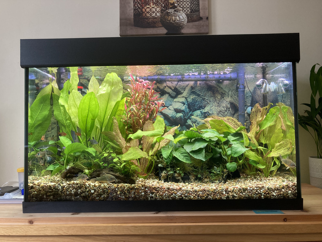 BE1B3259-C59F-4661-9DD3-257346B9FFDC