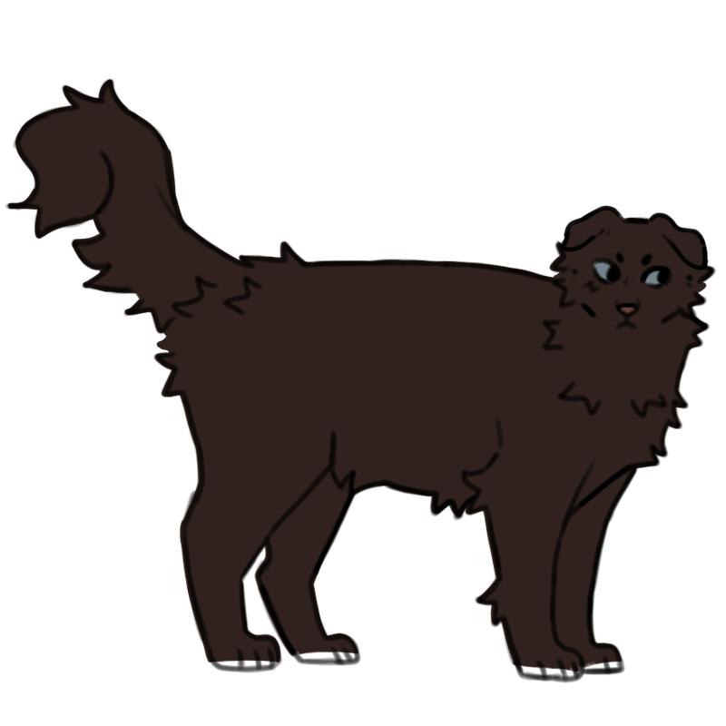 28-AC2-FF4-12-C6-428-B-B279-8-B9-F9404-B73-F.png