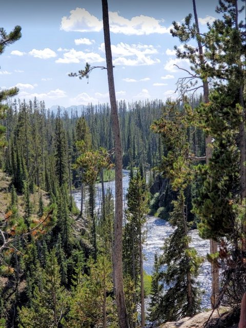[Image: WYYellowstone202306.jpg]