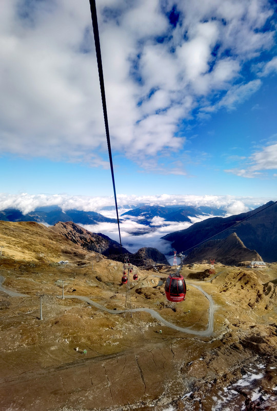 IMG_20221025_103457_edit_185533119571688