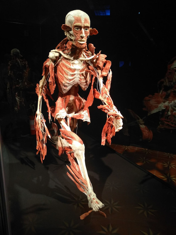 72617605_514521989397865_9011959873801289728_n