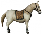 άλογα