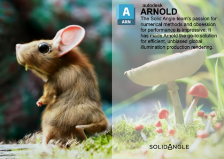 Solid Angle 3ds Max to Arnold 5.5.0.7 Solid Angle 3ds Max to Arnold 5.5.0.7