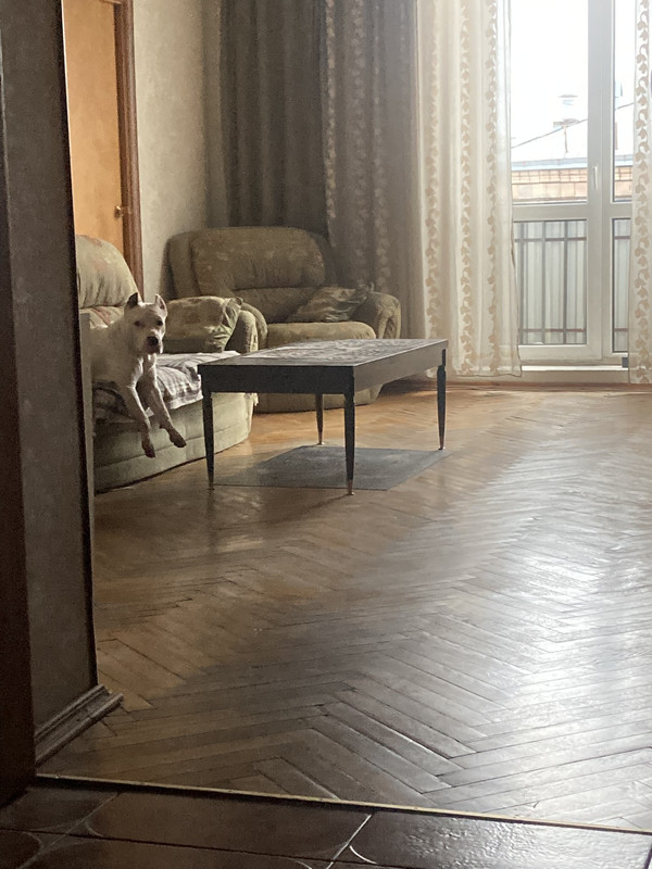 0DA3D605-BEEE-4BD2-882B-6B742CCD0713