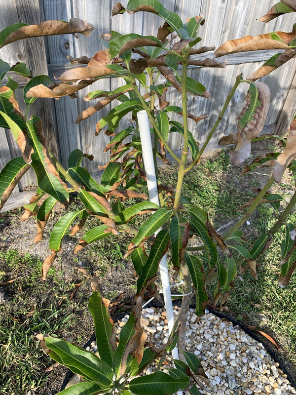 5B48F502-32E0-4410-819F-089DFB9A08F0