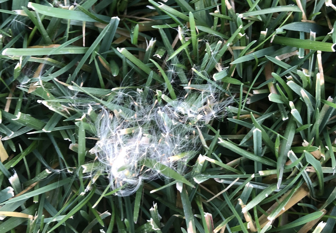 2394FC09-4F1B-49FA-97E3-FF6D6274D1E1