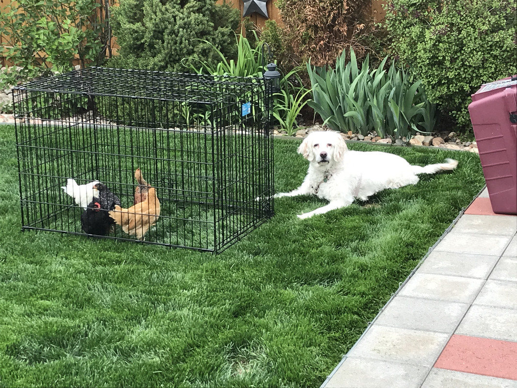 21C37CB2-D608-4949-8DF9-FC99CC36AF48