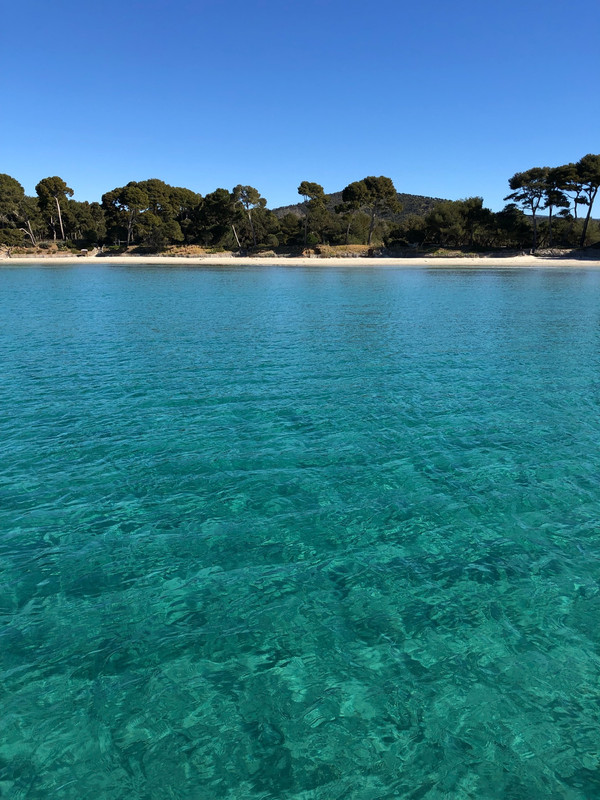 73482499-65BE-4C3B-8431-2B4C79E56C63