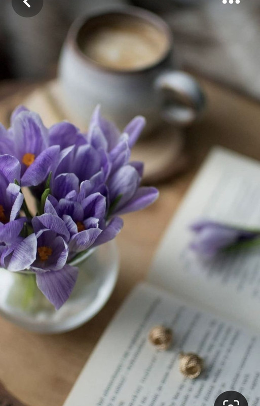 Screenshot_20230622_005430_Pinterest