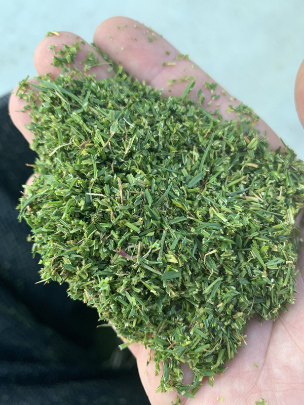 ABB03518-1F81-4A82-8C1D-063FE7109402