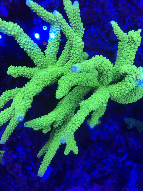 047D38DE-ADAF-48C6-870F-E8956A7E1CCF