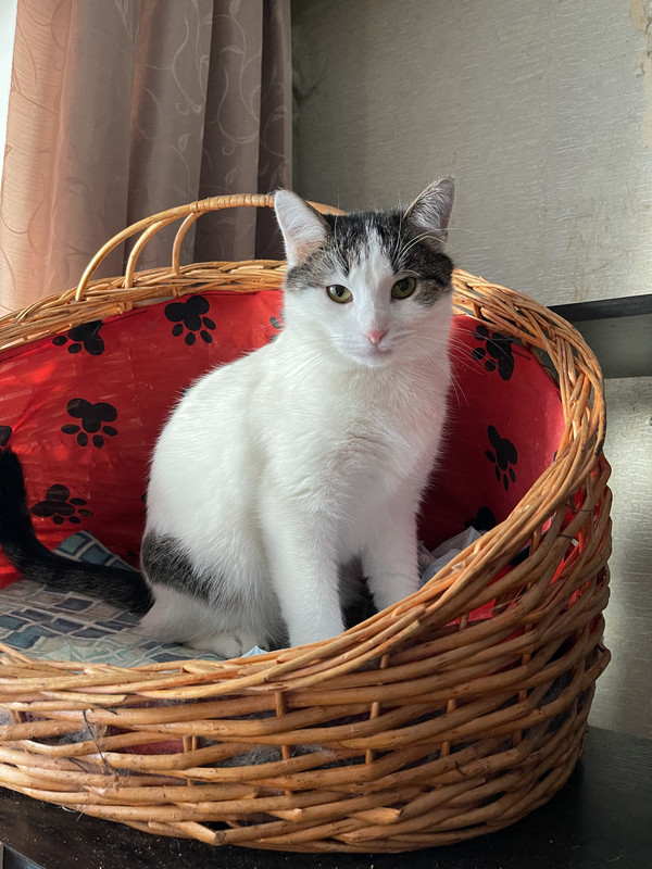 DAEC0E82-1D97-453F-BCF4-1BBBF2792E43