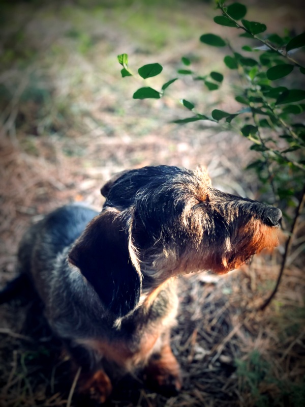 [Image: IMG-2212.jpg]