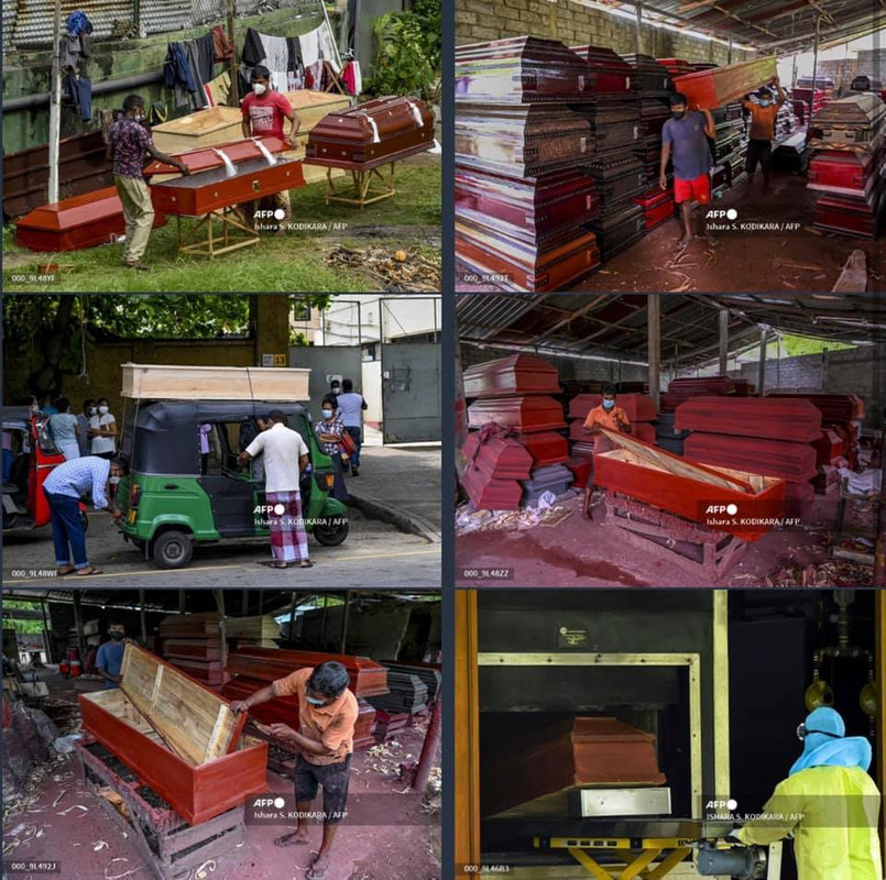 878754-8.jpg
