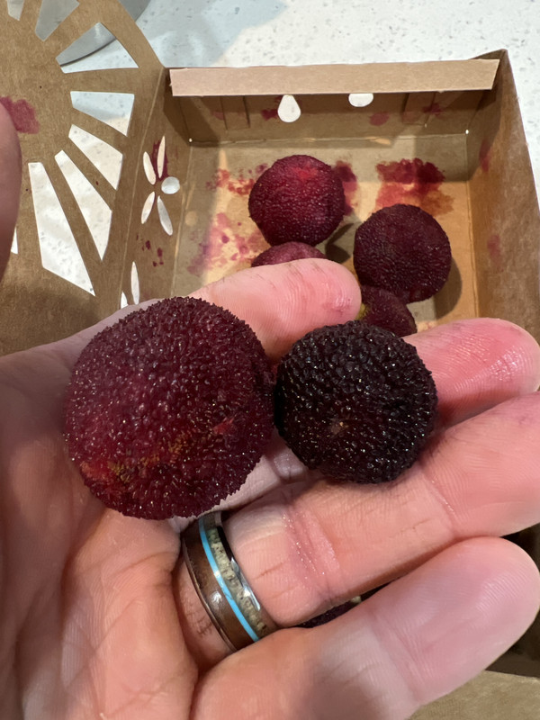 732B1862-1274-4794-93FC-5F4C8D5A2D55