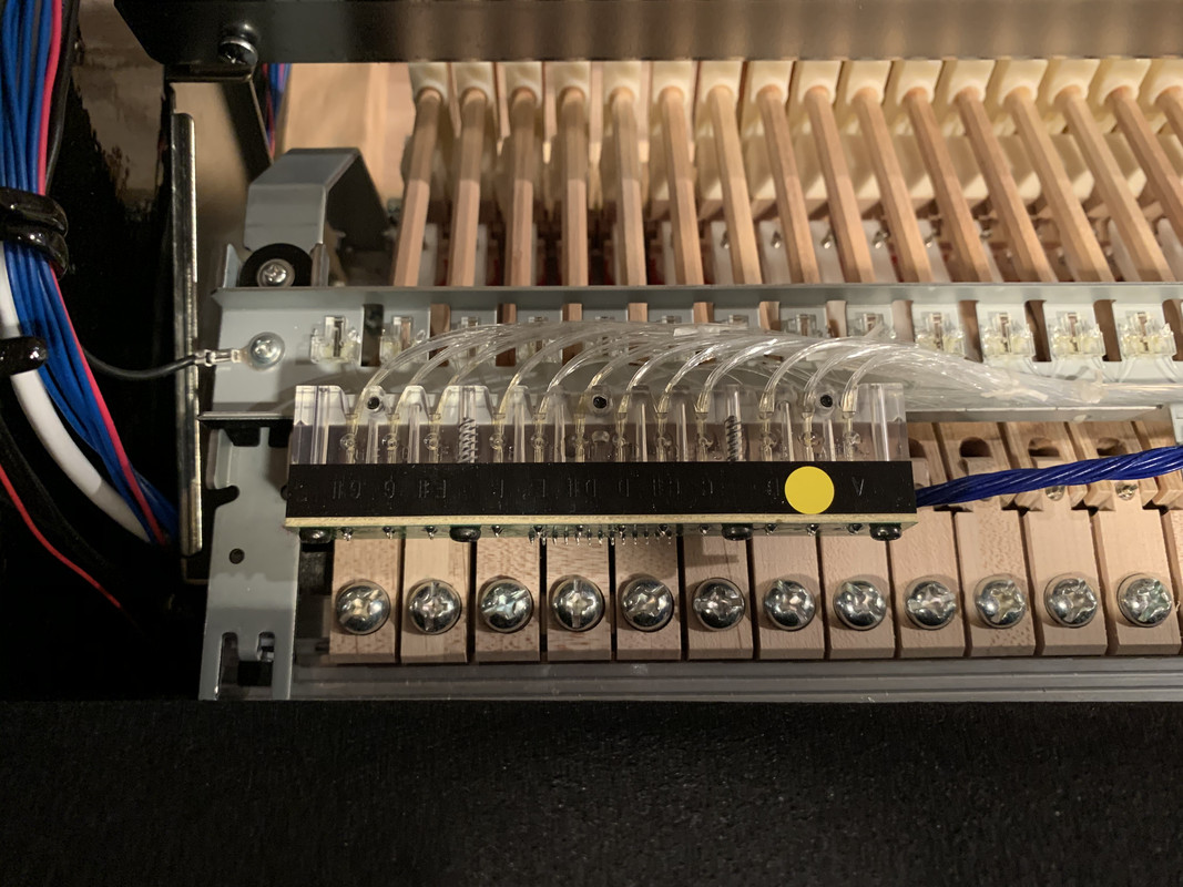 C7A5C2C7-515C-420A-B3DC-C2B283FD519B