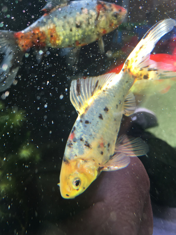 AA7D631C-E39A-4586-BC16-41DAF78277FE