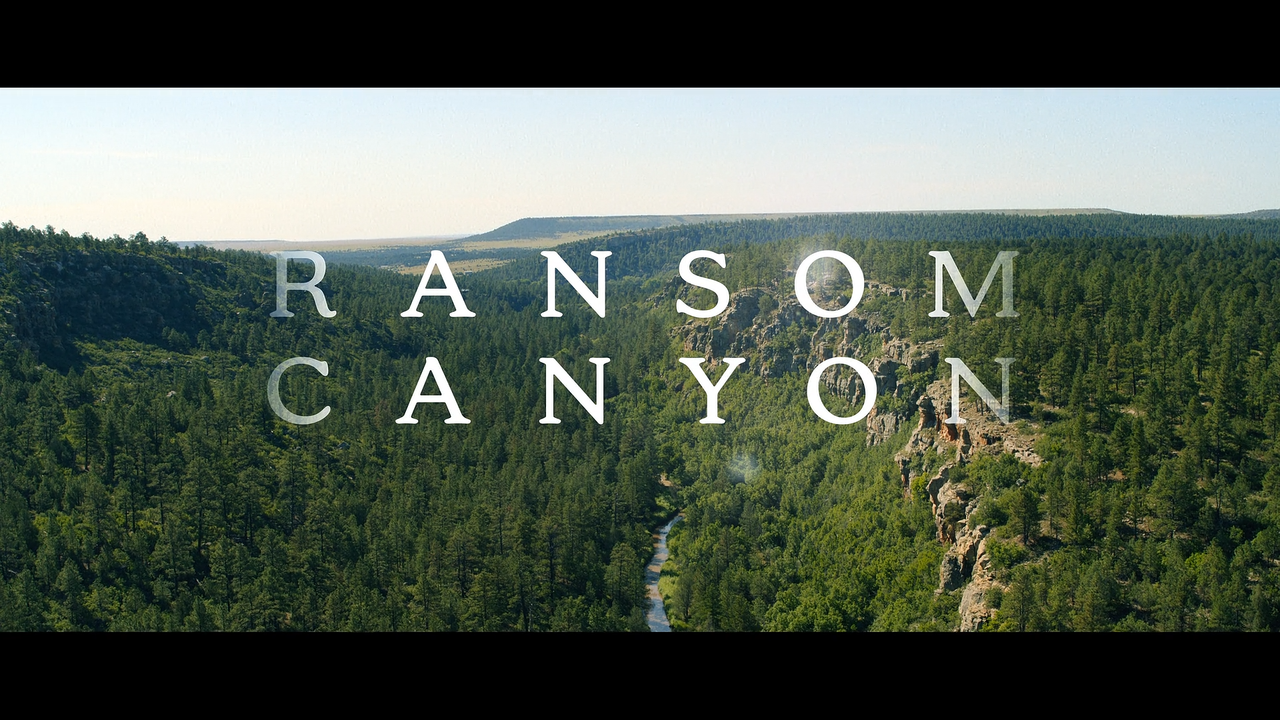 Movie cover image
