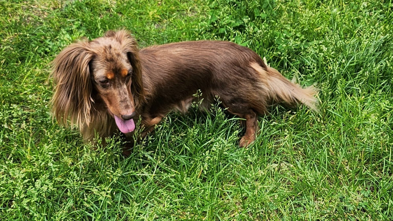 [Image: IMG-20240512-WA0005.jpg]