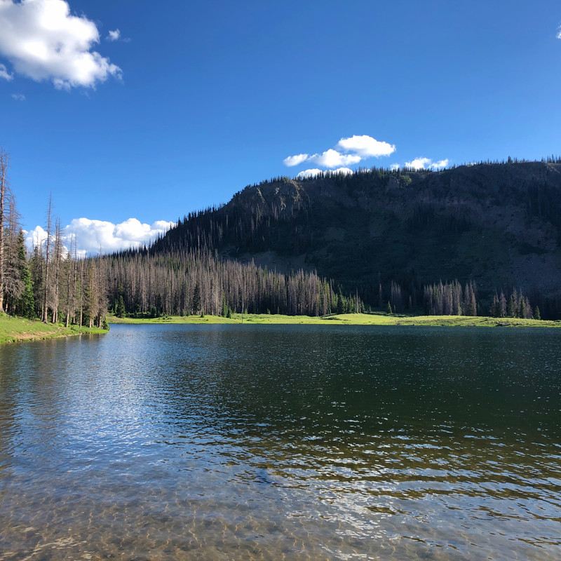 F7359C7C-39AE-4540-8DB0-7718FE843162