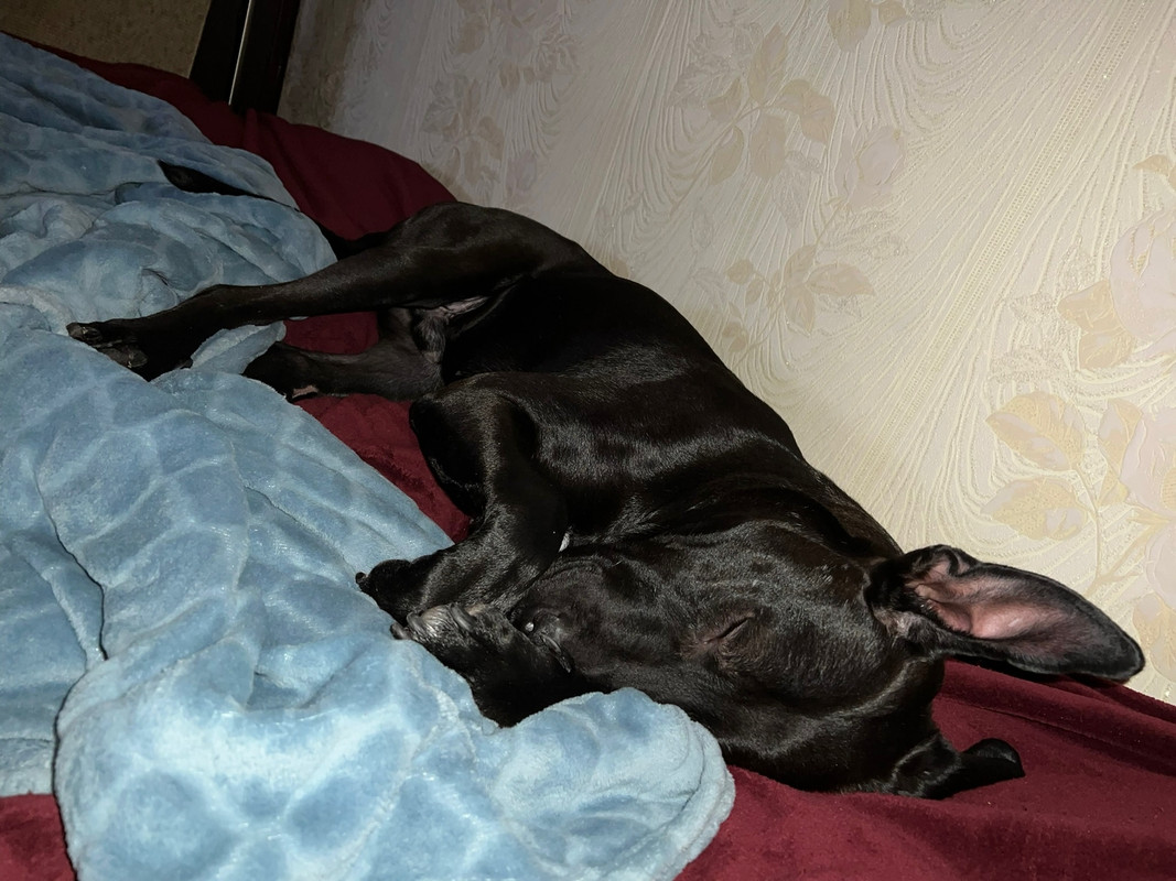 1A8A5A55-4EC3-4DC0-9757-CECAB008872E