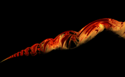 burning helix edited