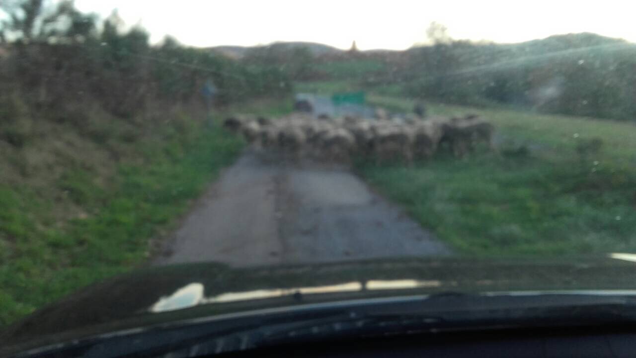 25F370C2-734B-409D-B610-3D471E227897