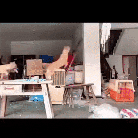 morning-gifdump-07-02.gif