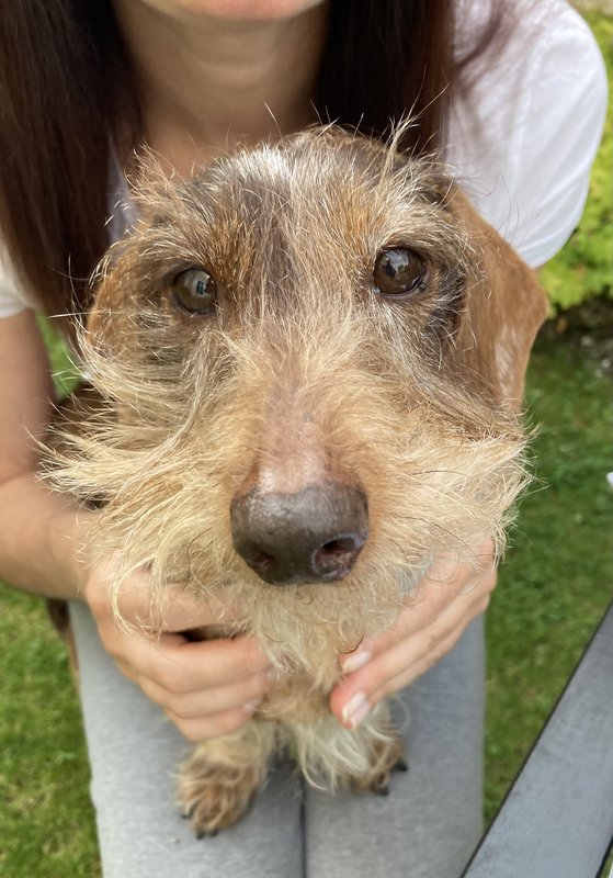 [Image: IMG-2274.jpg]