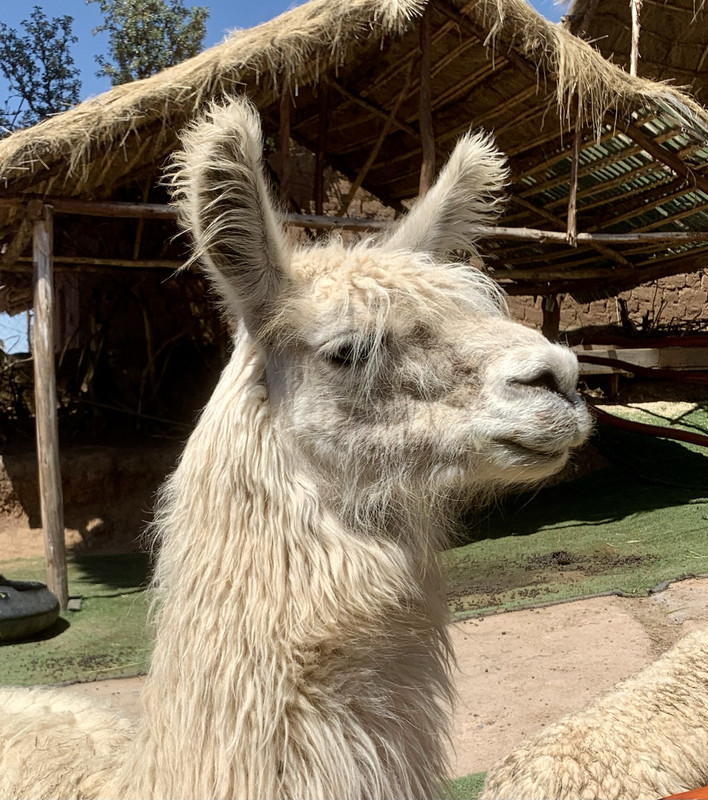 4D084868-B47B-48AC-9687-40323D0ECD5C