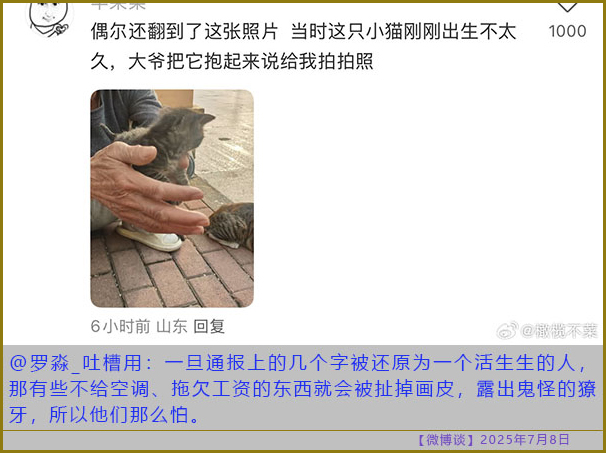 https://i.postimg.cc/6Qxr0D7B/20250708-bt-1.jpg