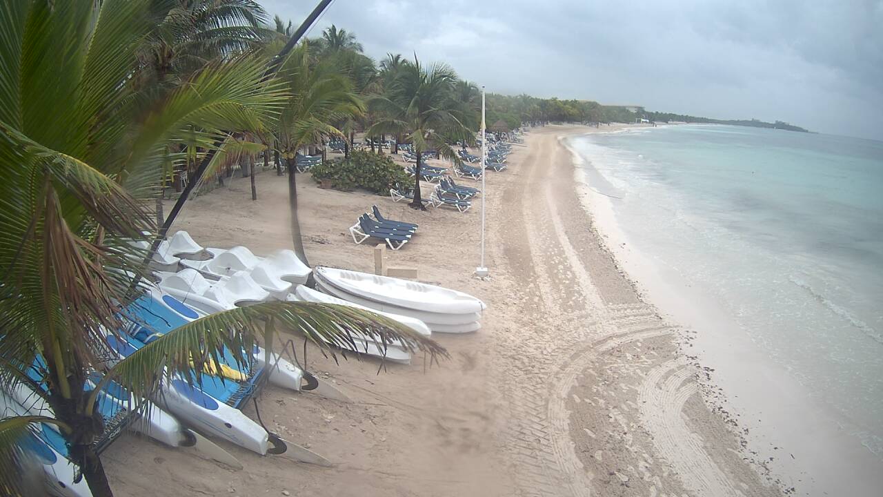 Playas sin Algas en Riviera Maya (Sargazo) - Foro Riviera Maya y Caribe Mexicano