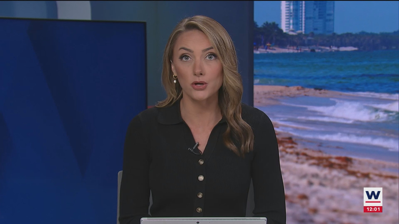 The WINK Noon News_20240906_17001730.ts_snapshot_07.10.497