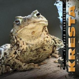 Kresta - Deliberate Offence (2010).mp3 - 192 Kbps