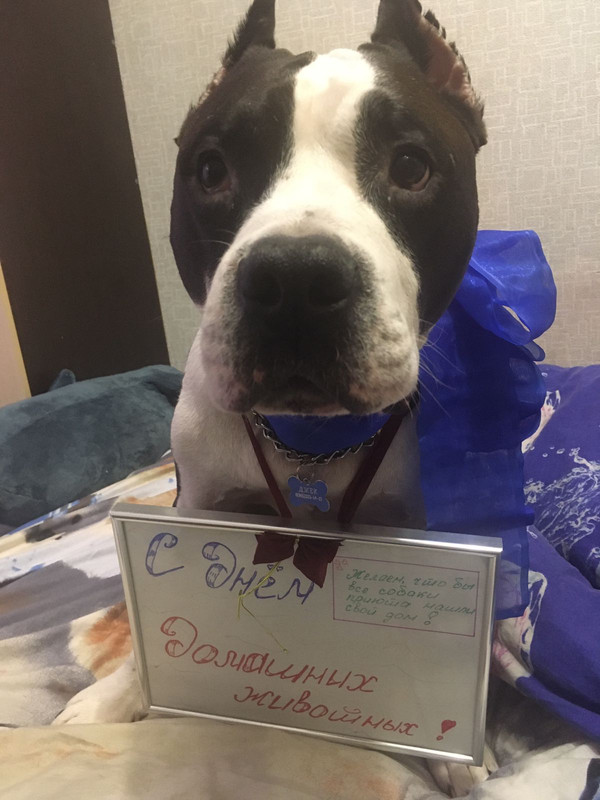 DF3DB522-9618-4040-B12A-4F17234EE8E5