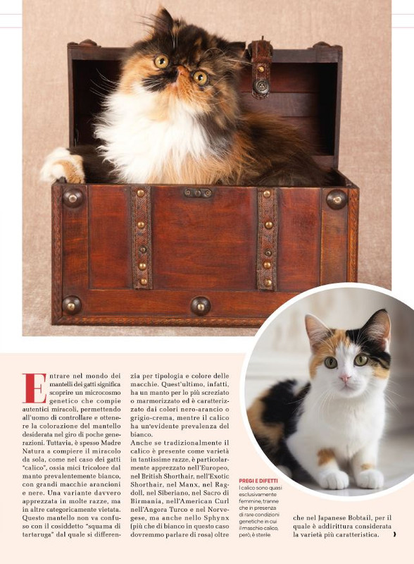 Ga Ma Dic 2024-Gen 2025 (4)