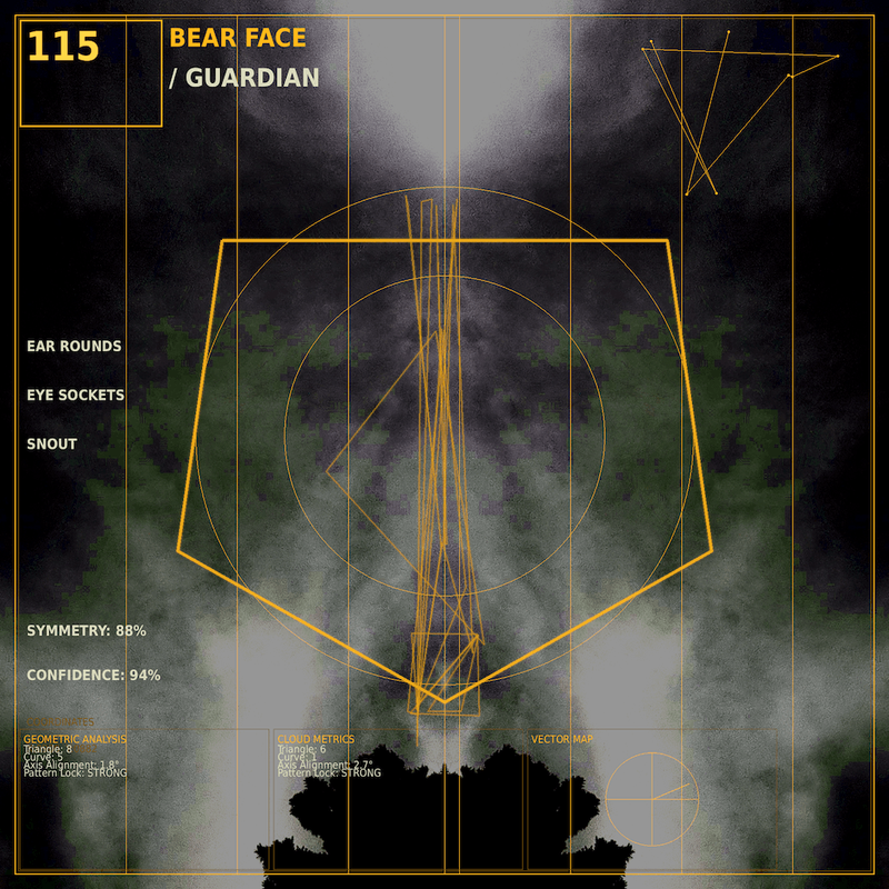 Bear face