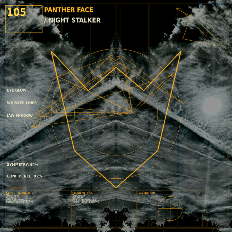 Panther face