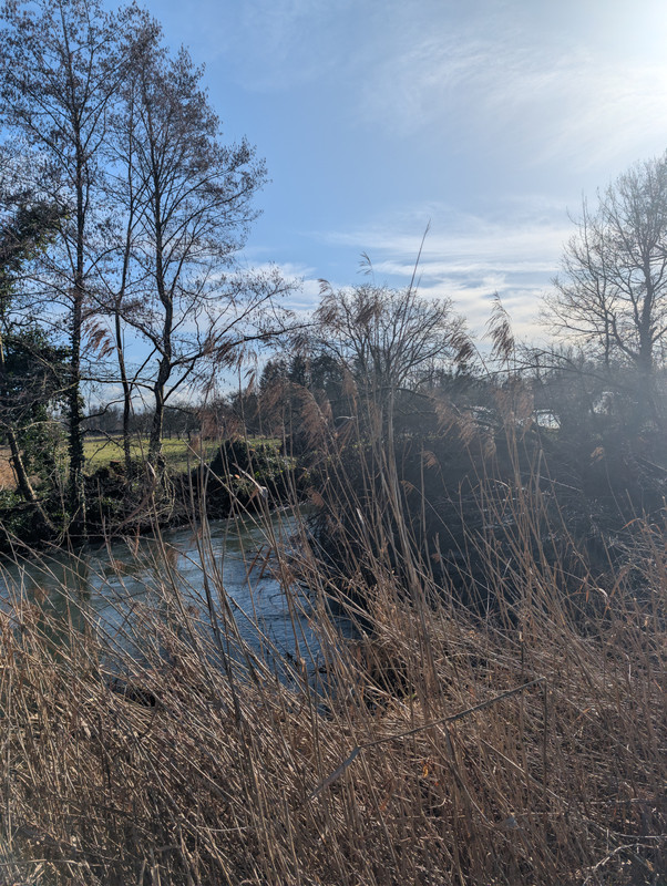 PXL 20260207 104913317