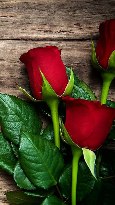 6928cd14da09af581bc1a78842def3a7