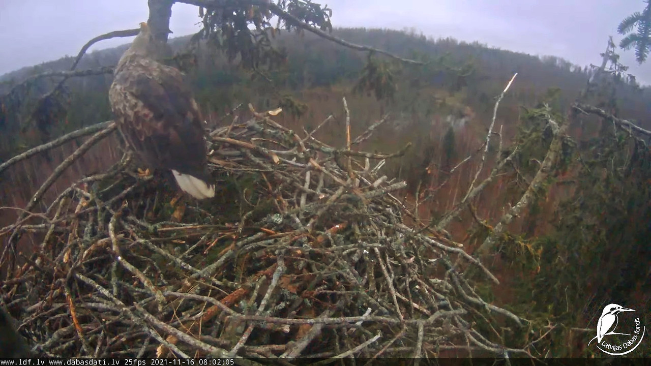 1_InPixio - Copy (2)