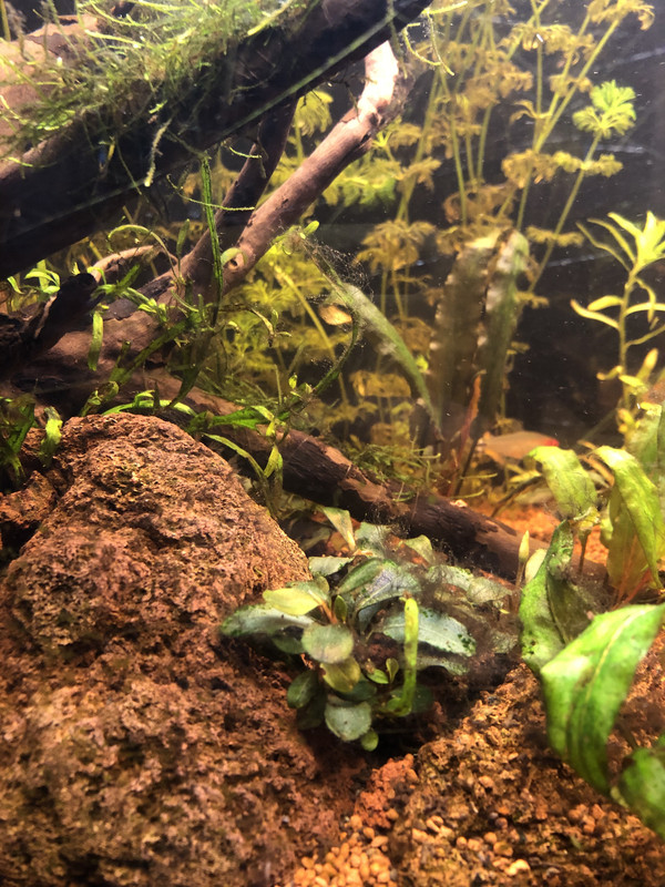 544CB36D-1E66-4CEA-8A2C-1DC8DF1B0FC3