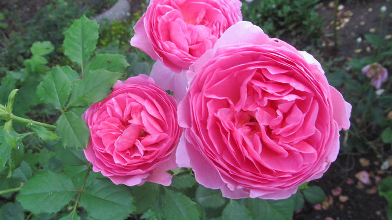 046