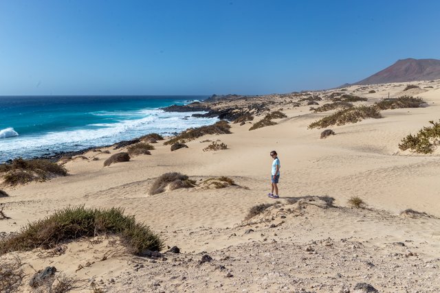 Fuerteventura - Blogs de España - ISLA DE LOBOS Y DUNAS DE CORRALEJO (2)