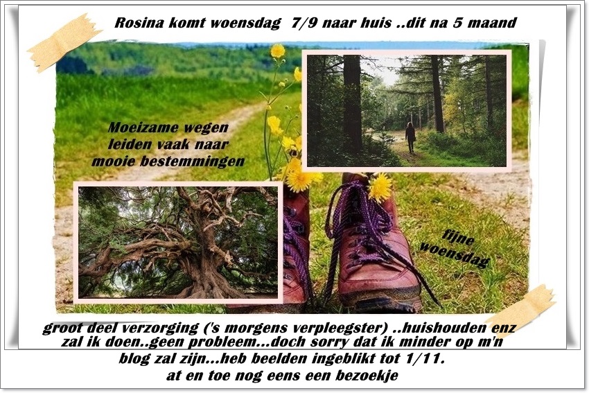 welkom opblog Bunic Jos