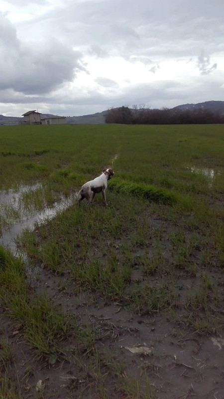 Image-1280_720_20191118T081053