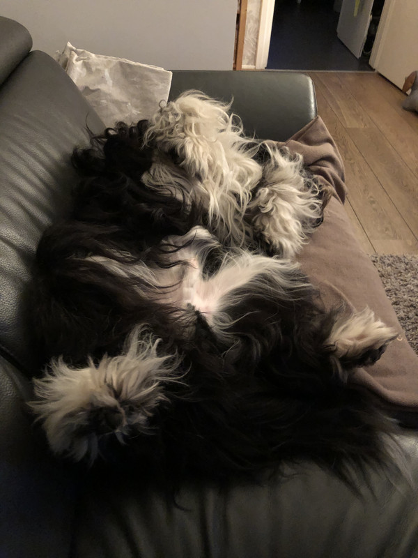 1CEE21DB-9DEA-4DFD-AAC2-94BA6E179654