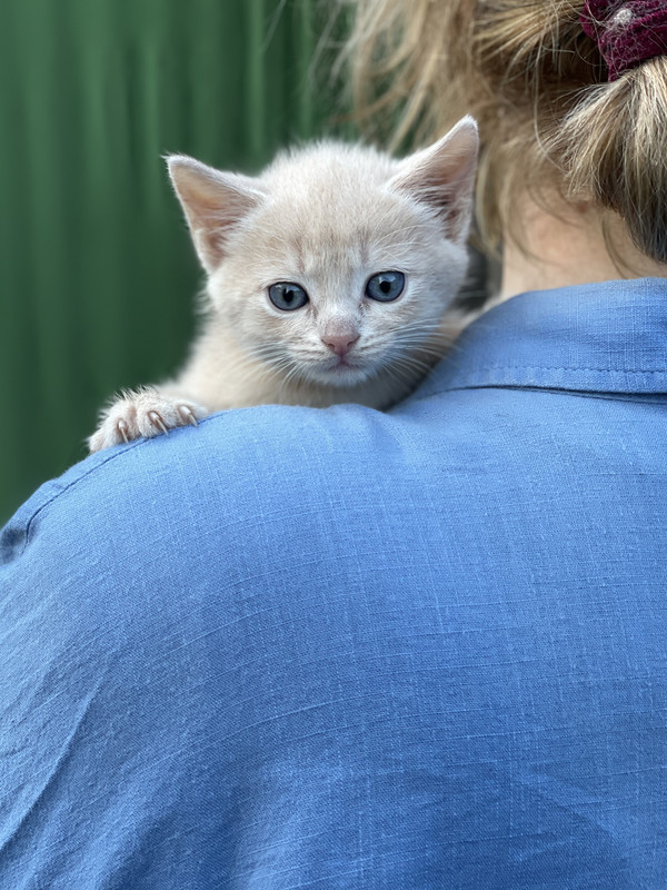 657B0575-5BDB-4AD7-B7E5-3935533F20BB