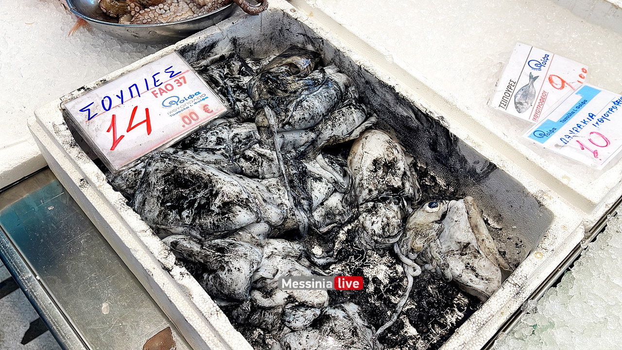 καθαρη δευτερα image00047